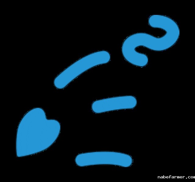 赴澳之行:从成都出发,遇见世界的另一面