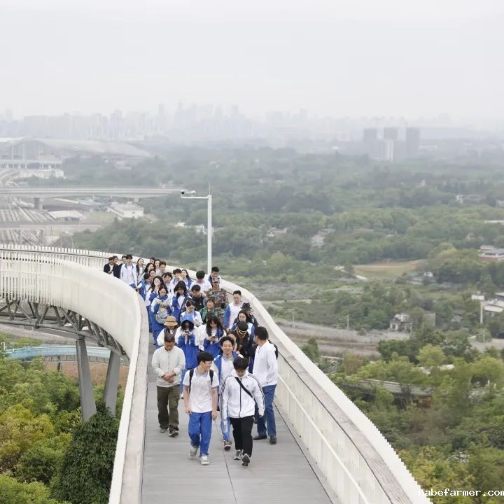 研学日 | 4月春日好,我们开启了一场关于大自然与非遗文化的成长之旅