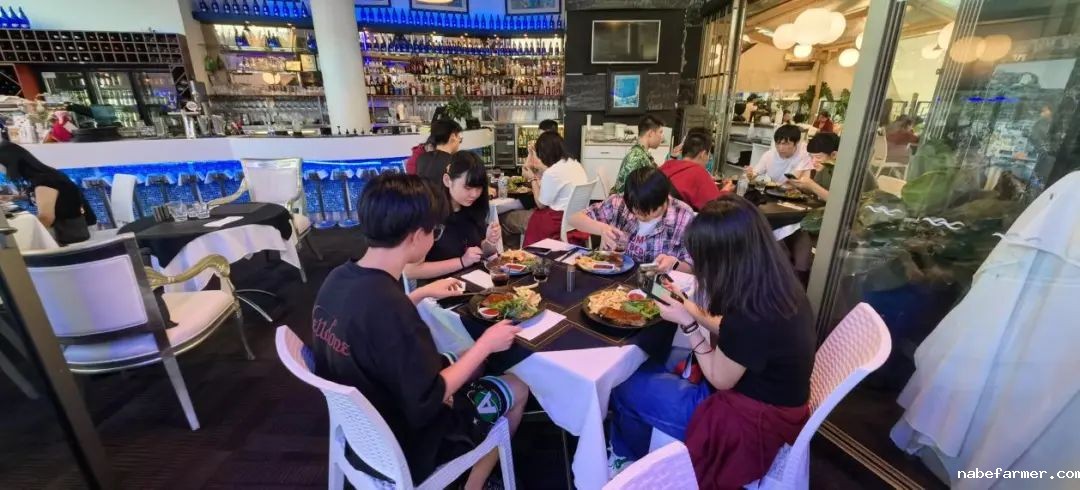 赴澳之行:从成都出发,遇见世界的另一面
