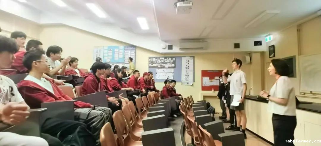 赴澳之行:从成都出发,遇见世界的另一面