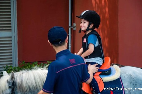 早鸟优惠倒计时 | 孩子们最爱的幼儿园夏令营什么样?