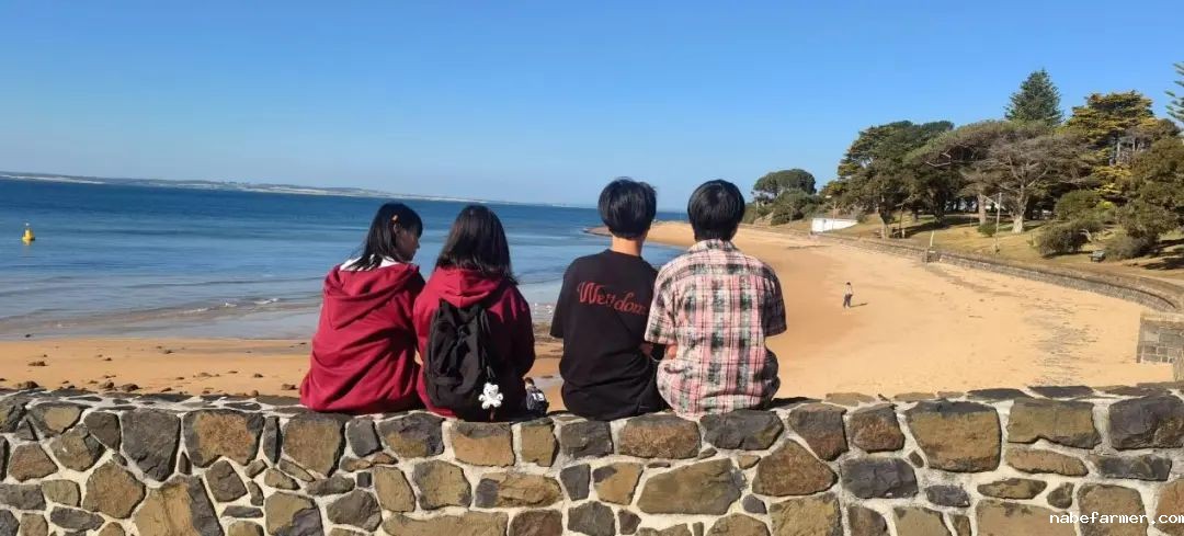 赴澳之行:从成都出发,遇见世界的另一面