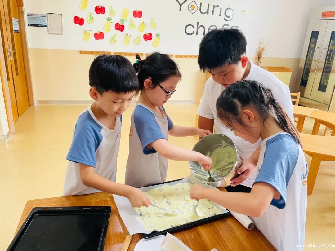早鸟优惠倒计时 | 孩子们最爱的幼儿园夏令营什么样?