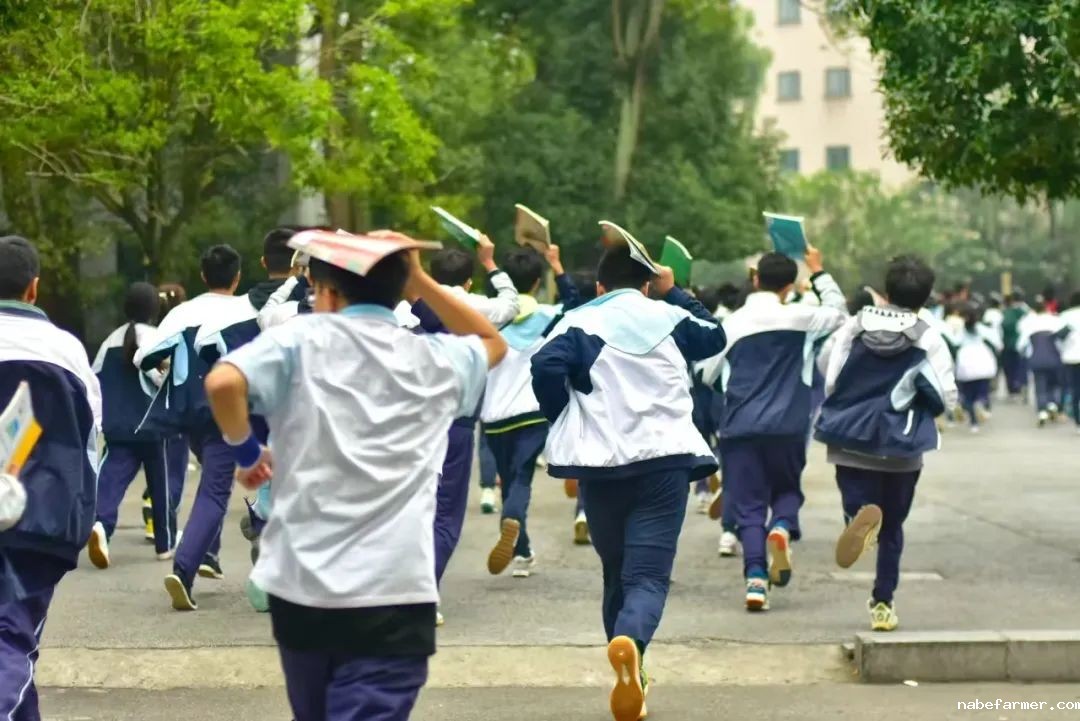 全员参与齐携手,内外守护筑平安