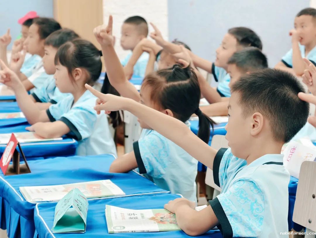 小学部数学组丨灵动思维,数启未来
