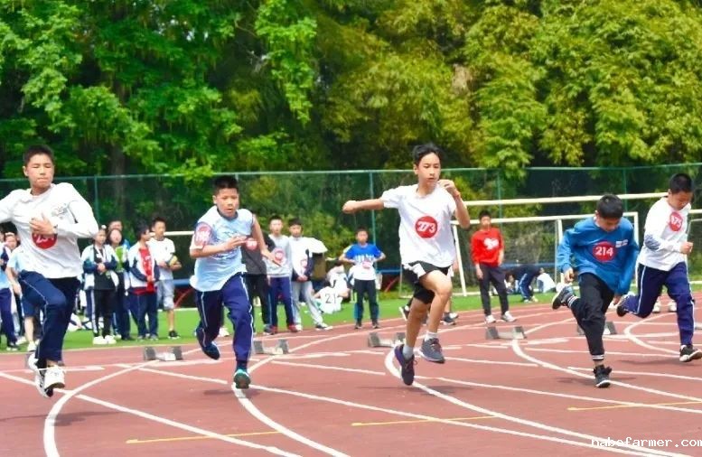 七战全胜夺桂冠!绵实外国语学校U16篮球队闪耀黄金联赛,彰显12年贯通培养硬实力
