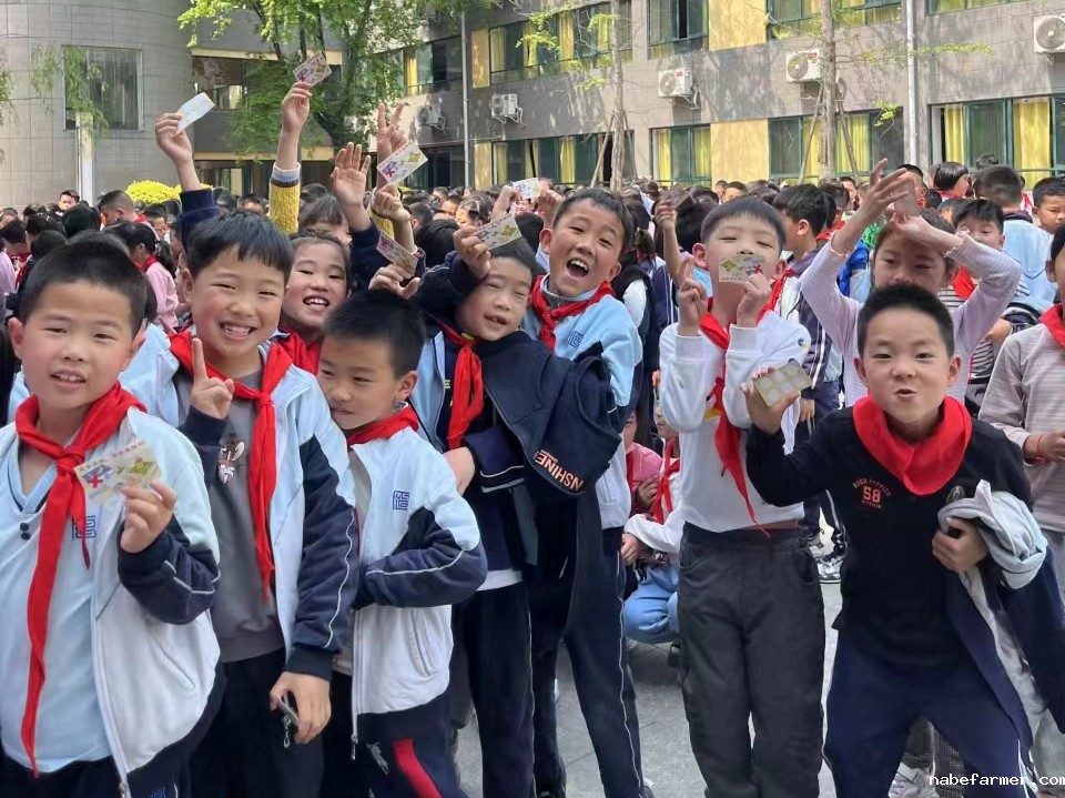 小学部数学组丨灵动思维,数启未来