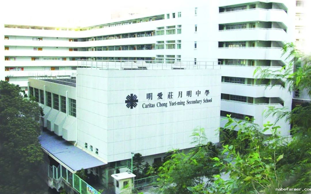 最后7天!香港Band1A、一条龙、跨境、国际学校...1次见全,不来真的会后悔!