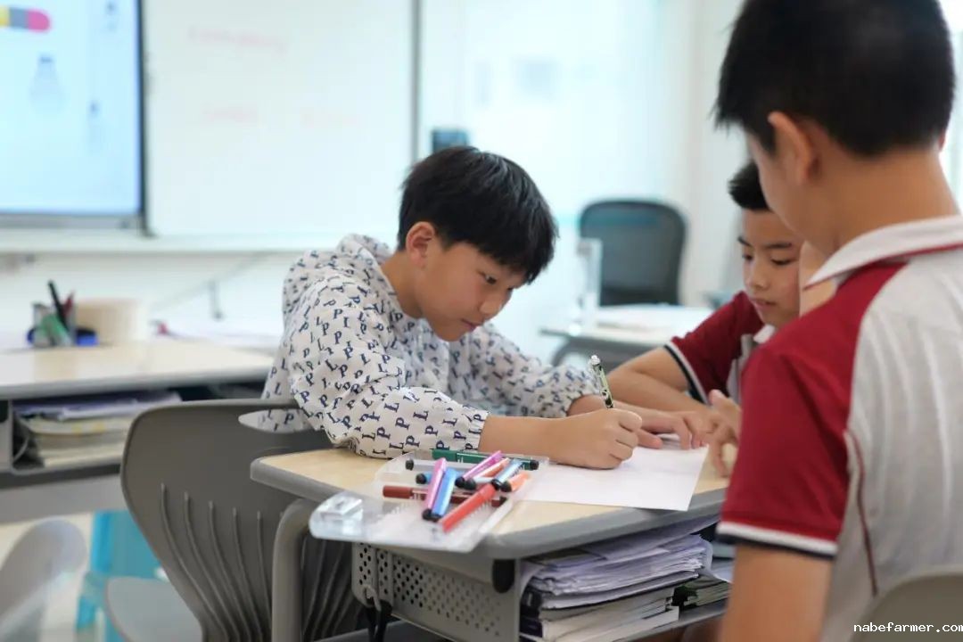 开创双赢升学新路径-为明国际部GTP融合实验班太香了!