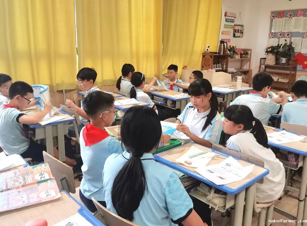 小学部数学组丨灵动思维,数启未来