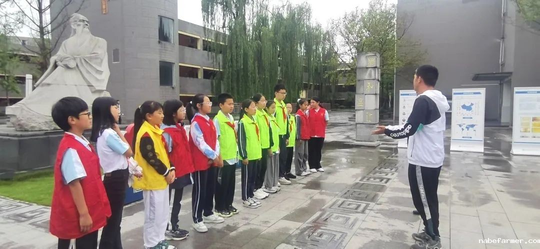 “校园小主人”成长记丨从倾听者到创造者,做自己的光!