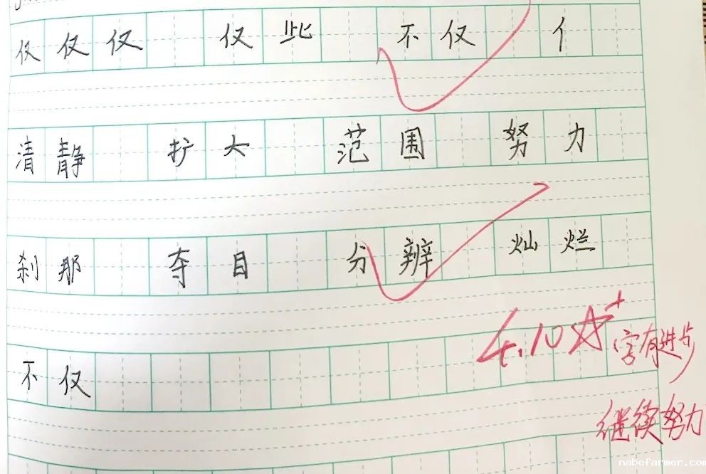 每一笔批改都是爱的印记