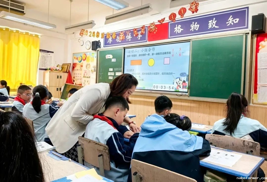 小学部数学组丨灵动思维,数启未来