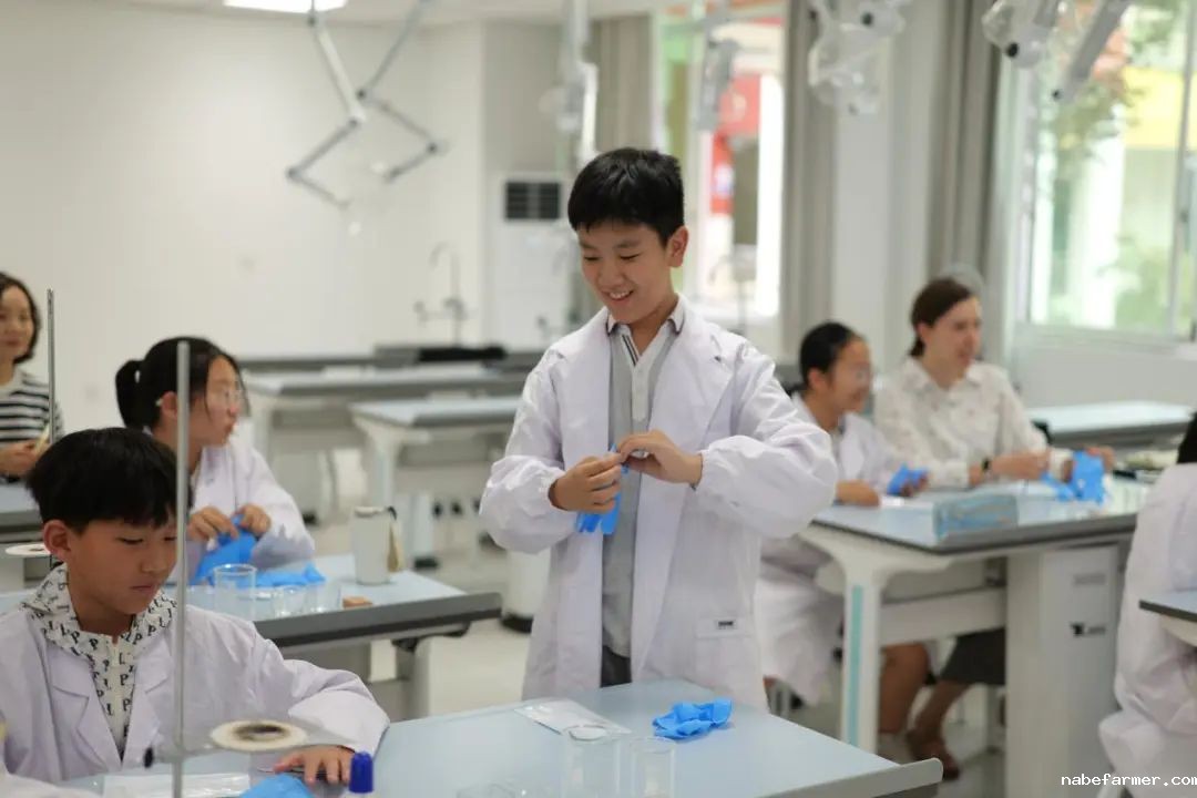 开创双赢升学新路径-为明国际部GTP融合实验班太香了!