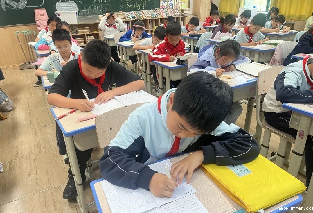 小学部数学组丨灵动思维,数启未来