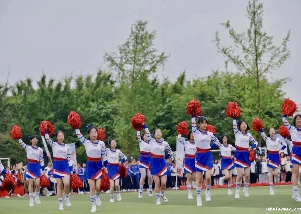 七战全胜夺桂冠!绵实外国语学校U16篮球队闪耀黄金联赛,彰显12年贯通培养硬实力