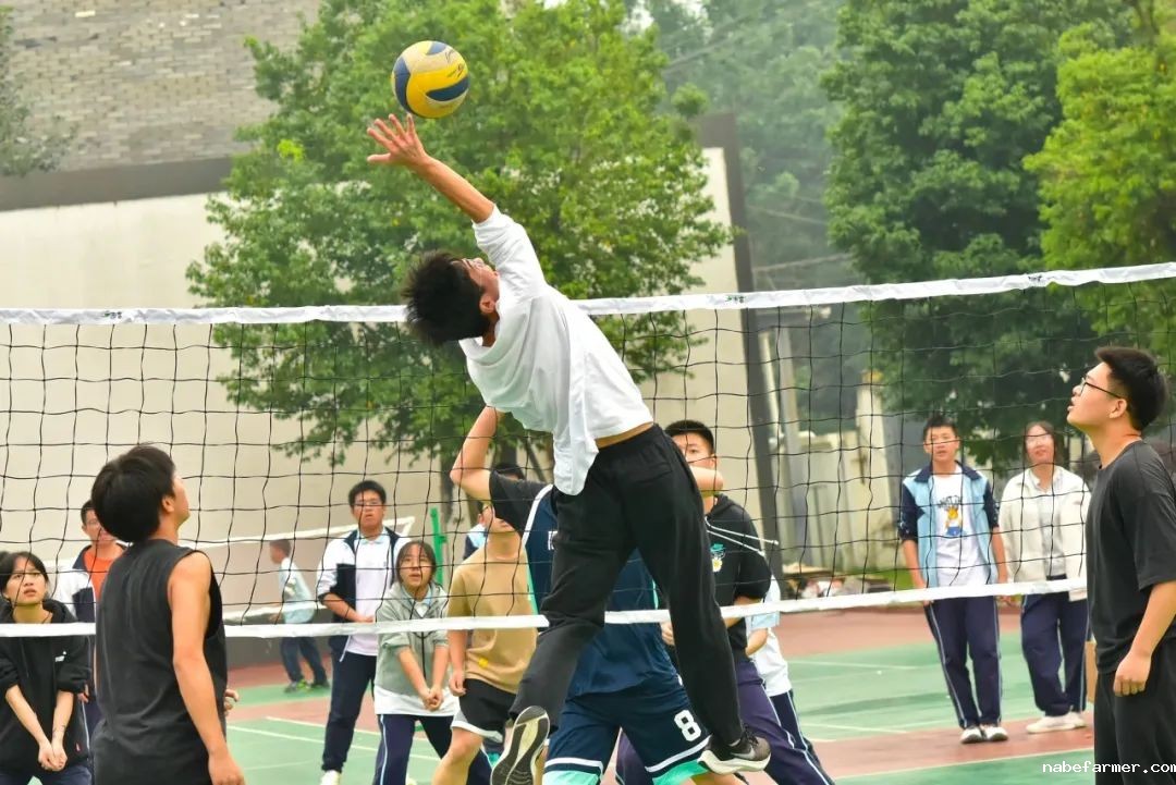 七战全胜夺桂冠!绵实外国语学校U16篮球队闪耀黄金联赛,彰显12年贯通培养硬实力