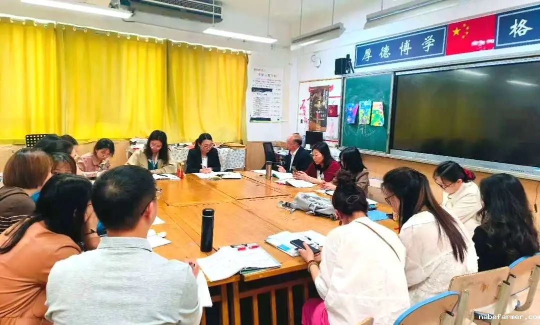 小学部数学组丨灵动思维,数启未来