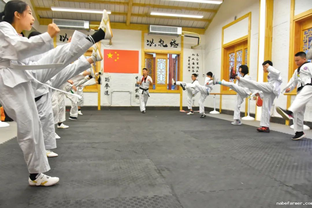 七战全胜夺桂冠!绵实外国语学校U16篮球队闪耀黄金联赛,彰显12年贯通培养硬实力