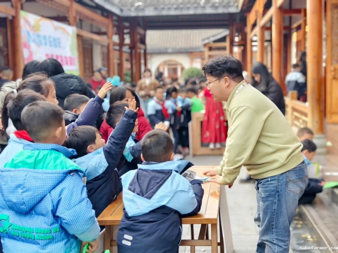 小学部数学组丨灵动思维,数启未来