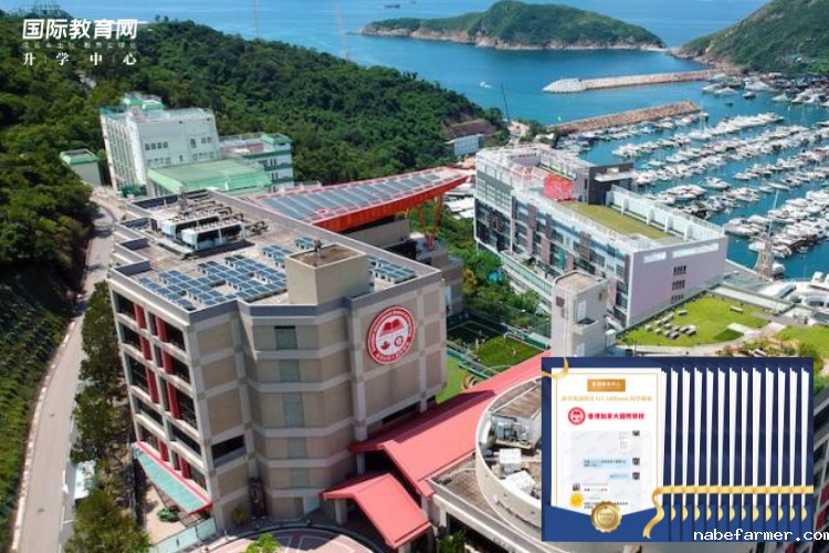 一文解决备考焦虑!香港国际学校入学考指南:这5大考试类型你必须知道!