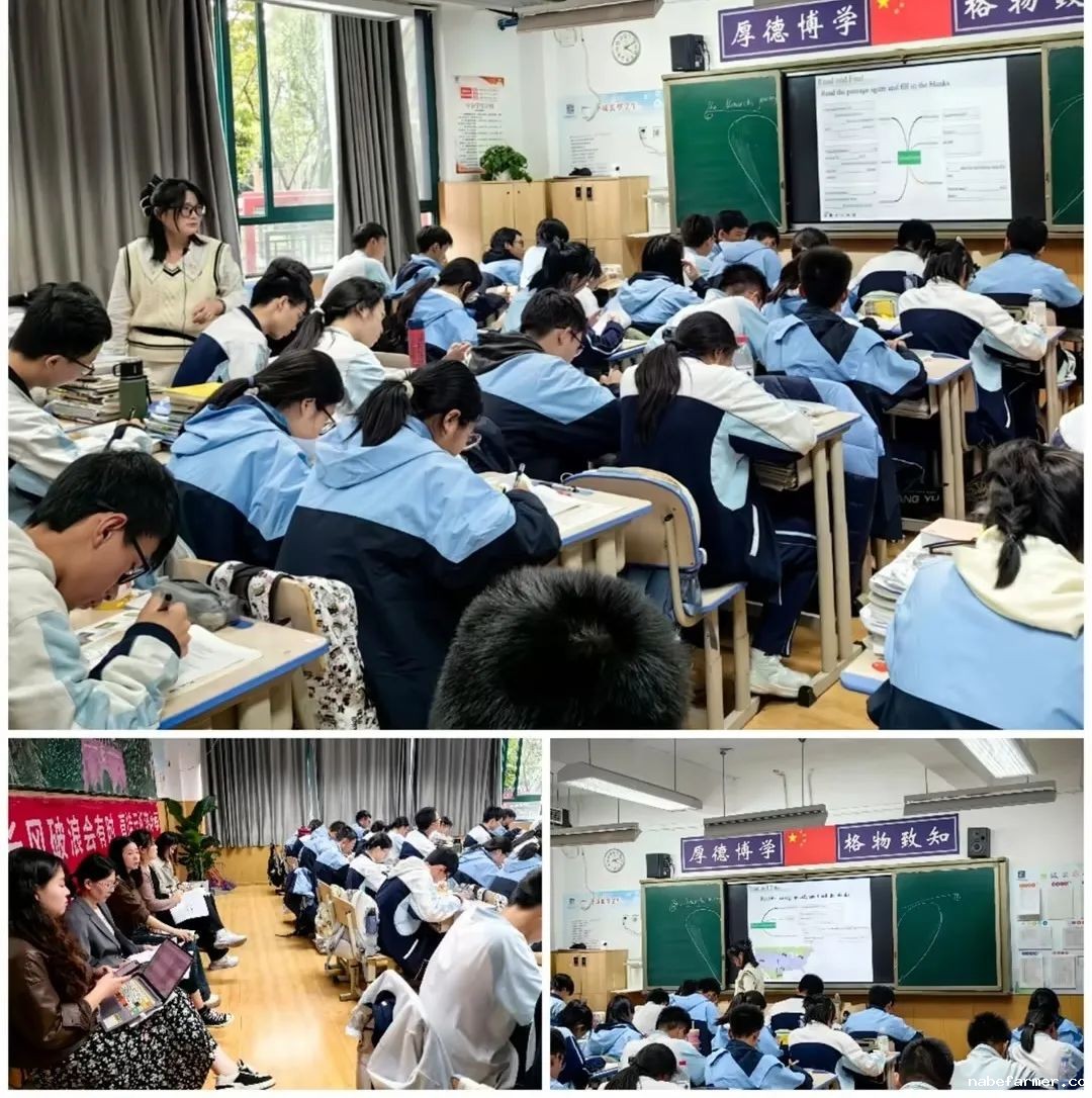 高中外语组 | 对话未来,奔赴世界