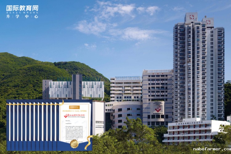 一文解决备考焦虑!香港国际学校入学考指南:这5大考试类型你必须知道!
