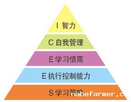 先锋少年·学能成长丨开启一场充满惊喜的自我发现之旅