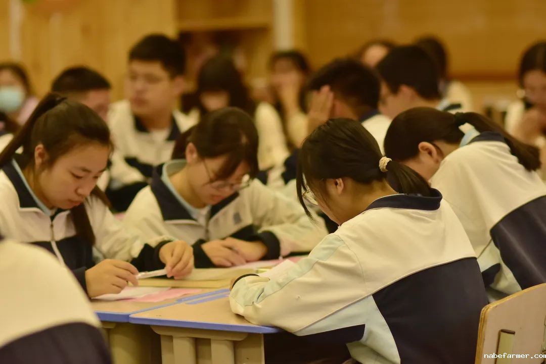 高中部数学组丨数启智慧,爱育未来