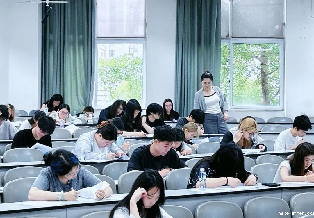 25年期末考试|雅思实战 + 学科测评助力升学之路