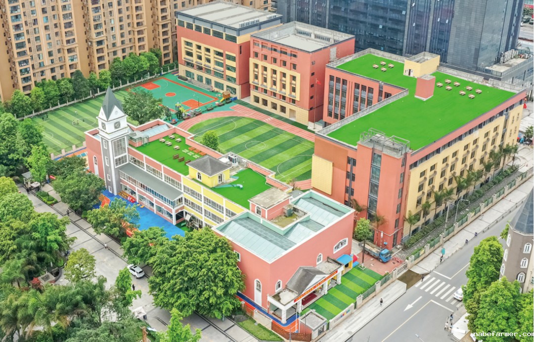 锦秋•沃顿公学 | 培养具有中国根基和全球胜任力的中国青少年!