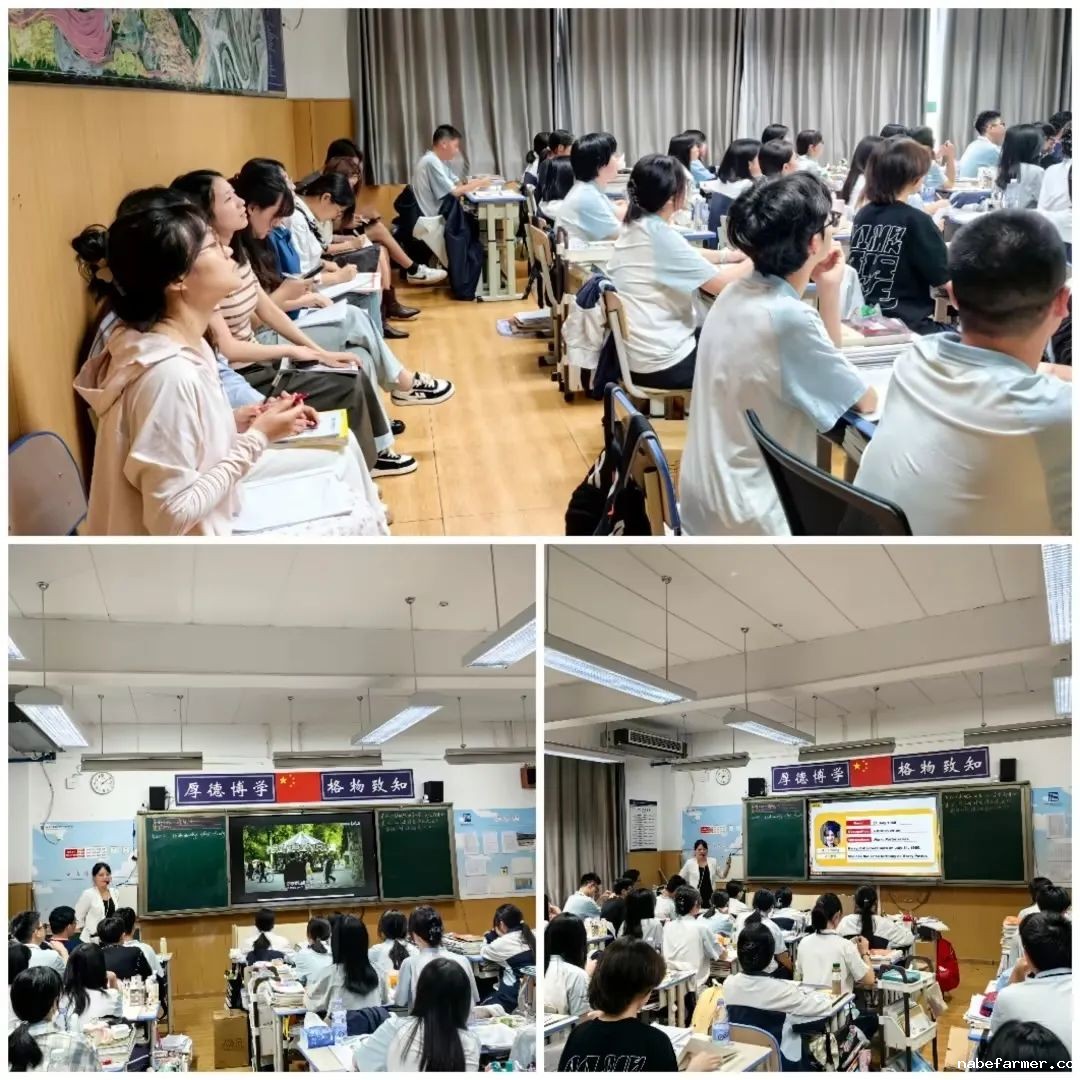 高中外语组 | 对话未来,奔赴世界