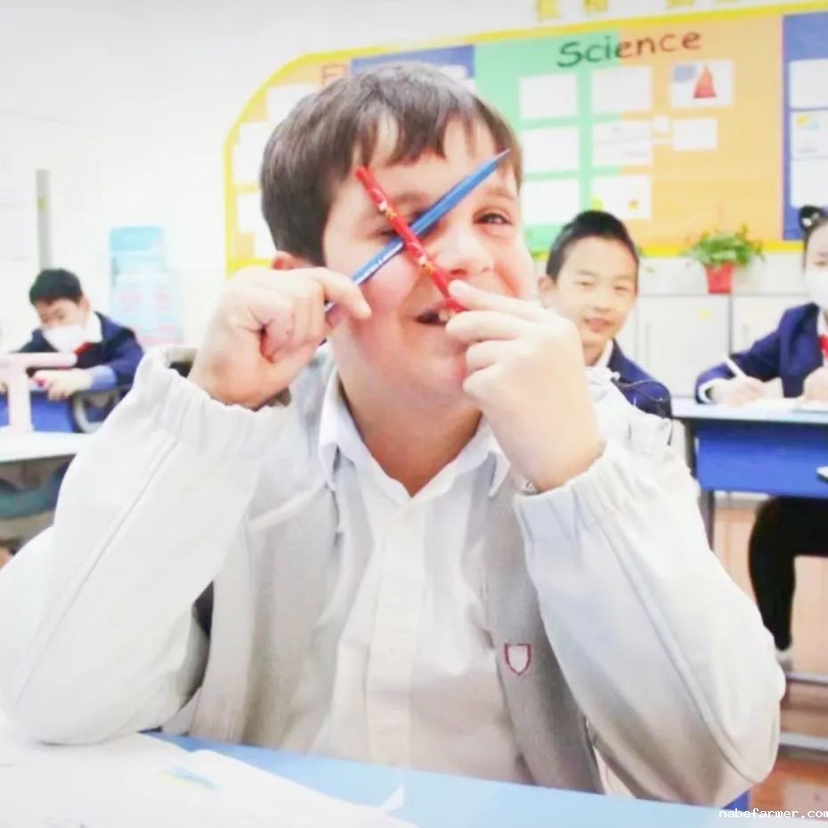 Hong Kong Limai School | 香港力迈学校正式招生,独特多元国际课程双语教学