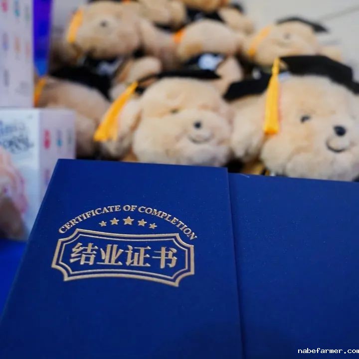 锦秋·沃顿公学校园开放日暨锦秋毕业典礼