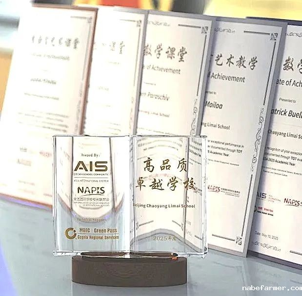 Hong Kong Limai School | 香港力迈学校正式招生,独特多元国际课程双语教学