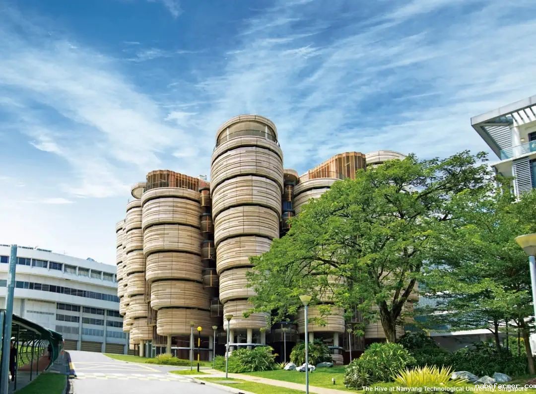 新增重磅喜报 | 新加坡方向录取,南洋理工大学Offer来了!