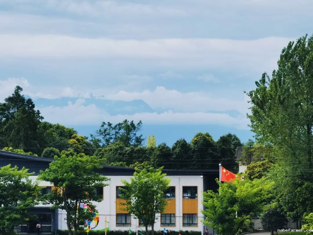 成都绵实外国语学校2025年秋季学期开学通知