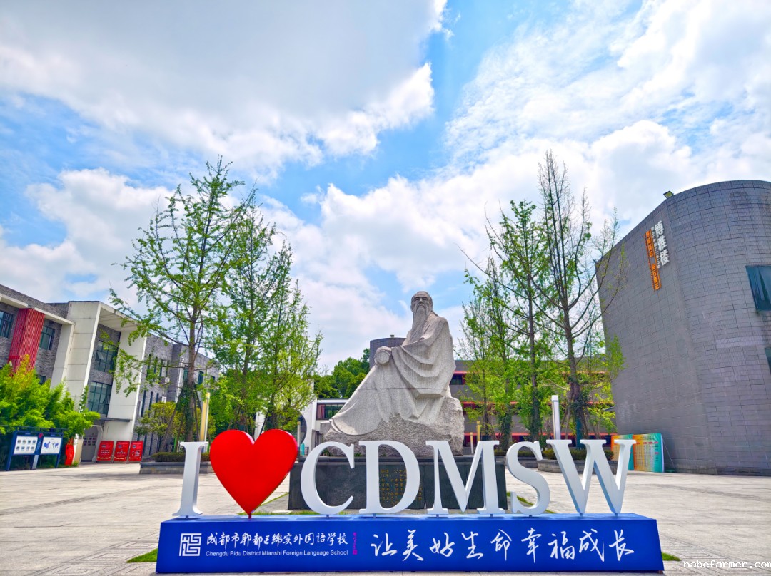 成都绵实外国语学校2025年秋季学期开学通知