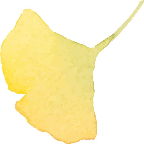 理科篇|竞赛双赛道,升学加分的“隐形王牌”