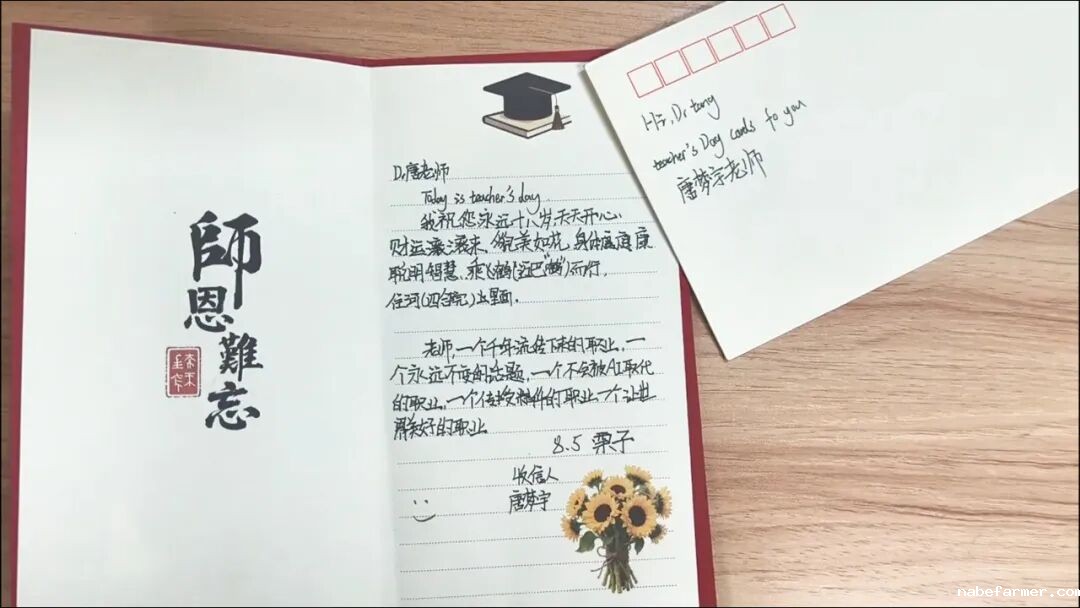 教师节快乐丨深耕教坛育梦,桃李花开有声