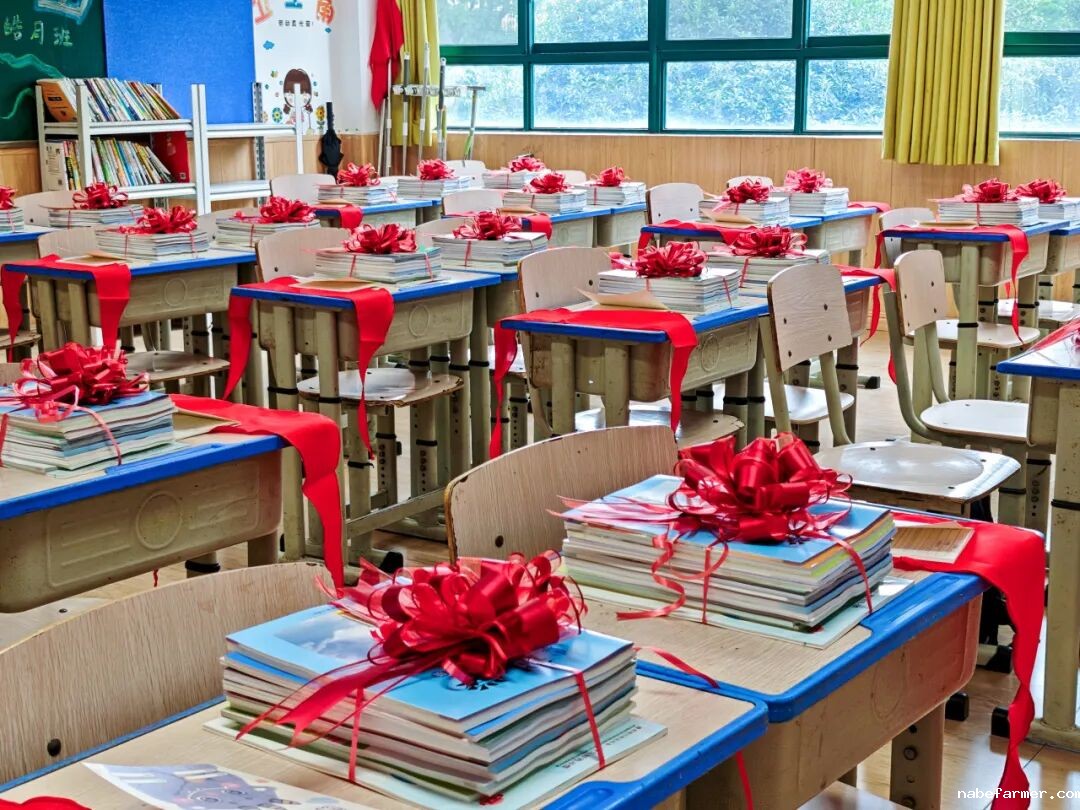 你好,新学期丨奔赴,一起向未来