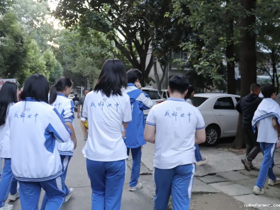 公益活动 | 衔青小队出发,赋能成长,不止于课堂!