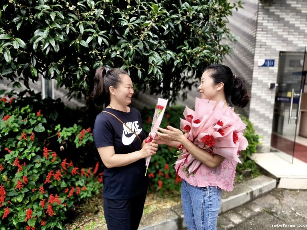 教师节快乐丨深耕教坛育梦,桃李花开有声