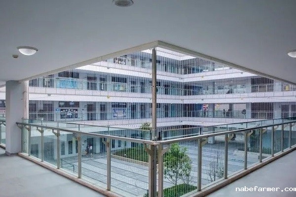 2022德普国际高中招生简章及毕业生录取