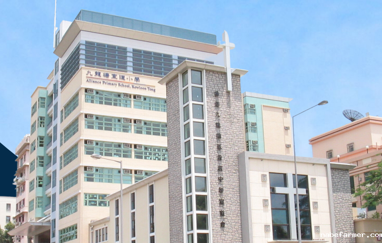 2025年九龙塘宣道小学学费一年多少？