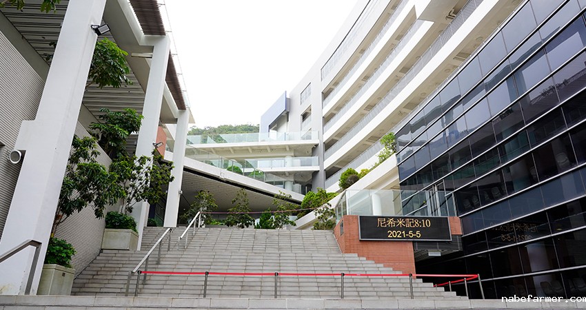 2025年香港南区的小学有哪些？看看这几所