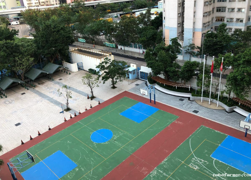 爱秩序湾官立小学怎么样？