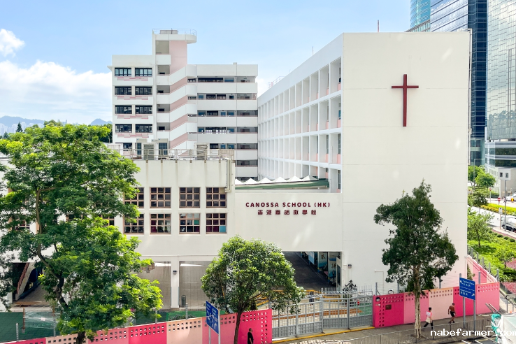 香港嘉诺撒学校怎么样？