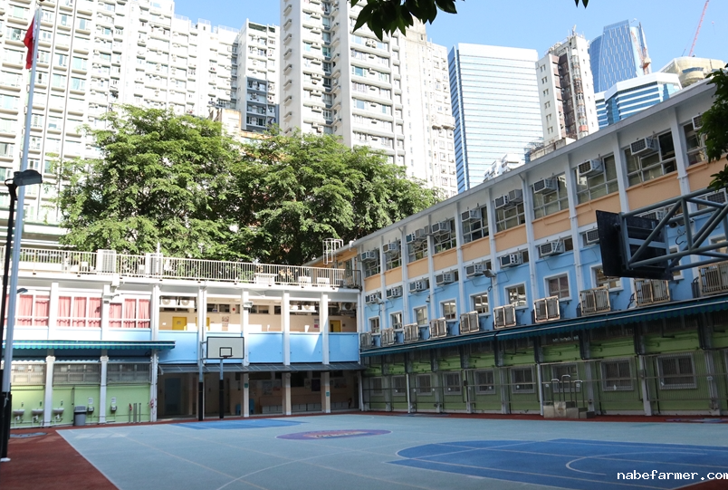 北角官立小学学校简介