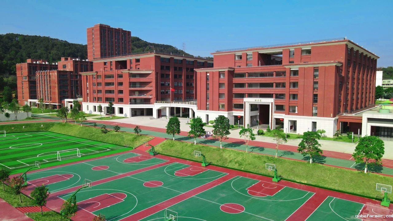 2025年广州市源雅学校DSE班招生指南